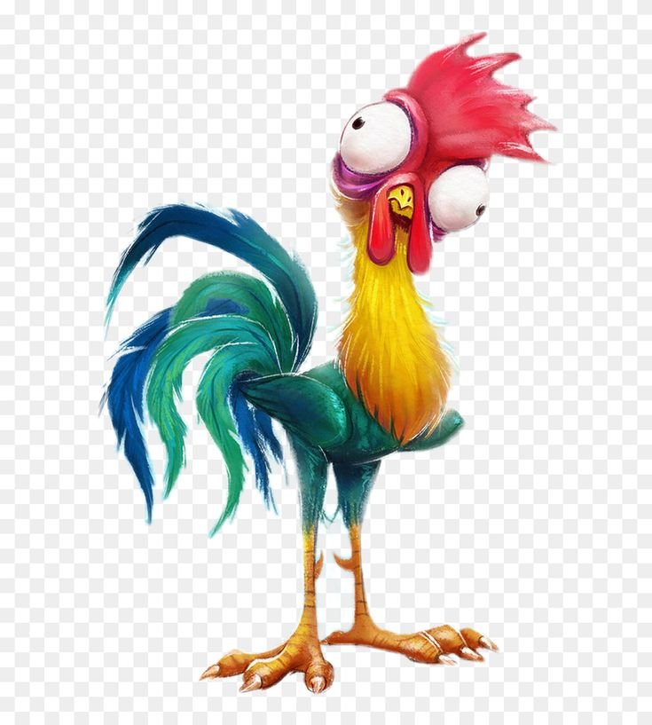 Hey Hey Moana Why the Silly Rooster Is Actually So Important